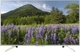Телевизор Sony KD55XF7077SR2 - изображение 2