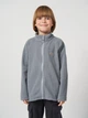 Детская теплая флисовая толстовка для мальчика Joiks Fleece Antipiling tec. F918 128 см Серая (J2300000011685) - изображение 1