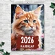 Календар 2026 настінний перекидний КОТИ 13 АРКУШІВ ENTERSTORE 42х29.7 см (ART 250110) - зображення 1