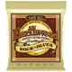 Струни для акустичної гітари Ernie Ball 2008 Earthwood 80/20 Bronze Rock and Blues 10/52 - зображення 1