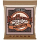 Струны для акустической гитары Ernie Ball 2144 Earthwood Phosphor Bronze 13/56 - изображение 1