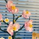 Конструктор Botanicals Орхидея на 1046 деталей (10311) - изображение 3