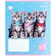 Зошит шкільний 12 аркушів коса лінія Kite Studio Pets SP24-235, - изображение 3