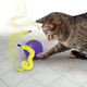 Zabawka dla kotów Kong Pursuit Whirlwind (35585459172) - obraz 3