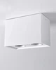 Точечный светильник Goldlux 313133 Hadar Q2 GU10 2x10 Вт IP20 - изображение 7