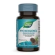Экстракты Nature's Way Пикногенол Экстракт Сосновой Коры Pycnogenol Pine Bark Extract 50 мг 30 Таблеток - изображение 6