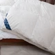 Одеяло ТЕП "COTE BLANC" Feather батист двуспальное 180х210 - изображение 5