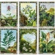 Карти Оракул Рослин Друїдів з книгою / Cards & Book Set: The Druid Plant Oracle 06868 - изображение 4