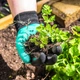 Садовые перчатки с когтями Garden Line ПРTEL9903 для копки, рыхления, посадки - изображение 4
