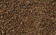 Семена рукколы для микрозелени 200г - изображение 1