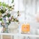 Ароматична свічка Yankee Candle Mango Ice Cream 368 г (5038581144634) - зображення 4
