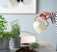 Лійка 0,9 л колір слонова кістка IKEA VATTENKRASSE 403.941.18 - изображение 6