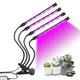 Фитолампа Led Plant Grow Light 4 Лампы Для Роста Растений На Прищепке Фитосветильник Для Комнатных Цветов, Рассады Чёрно-Прозрачный - изображение 1