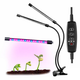 Фитолампа Led Plant Grow Light 2 Лампы Для Роста Растений На Прищепке Фитосветильник Для Комнатных Цветов, Рассады Чёрно-Прозрачный - изображение 4
