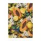 Пазл DoDo Ботаника Тропические фрукты 770 элементов 68х48см (DoDo_Tropical fruits) - изображение 2