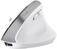 Мышь Trust Bayo+ Multidevice Ergonomic White (25399_TRUST) - изображение 1