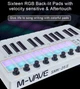 Midi-клавиатура Черная SMK-25 II MIDI Keyboard: Ваш ключ к музыкальному творчеству - изображение 3