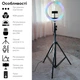 Светодиодная лампа RZTK кольцевая Spectra 26 RGB USB + штатив 2.1 м - изображение 2