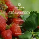 Віддушка STRAWBERRY 100 гр - для аромадифузорів, мила та косметичних засобів - зображення 2