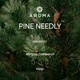 Віддушка PINE NEEDLY 10 гр - для свічок, аромадифузорів, рум-спреїв - зображення 2