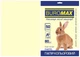 Папір кольоровий А4 Buromax PASTEL 80гм2 кремовий 50л. (BM.2721250-49) - зображення 1