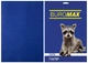 Папір кольоровий А4 Buromax DARK 80гм2 темно-синій 50л. (BM.2721450-02) - зображення 1