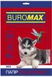 Бумага цветная Buromax DARK+PASTEL А4 80г/м2 10цв. 20л. (BM.27211120-99) - изображение 3