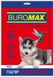 Бумага цветная Buromax DARK+NEON А4 80г/м2 10цв. 20л. (BM.2721020-99) - изображение 1