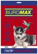 Бумага цветная Buromax DARK+PASTEL А4 80г/м2 10цв. 50л. (BM.27211150-99) - изображение 3