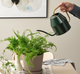 Лійка для квітів 2.0л зелена IKEA VATTENKRASSE 505.619.89 - изображение 2