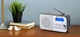 Радіоприймач GoGEN DAB 300 N Silver - зображення 4