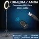Кольцевая лампа со штативом Bluetooth пультом для телефона LED питание от USB и Power Bank 26 см регулировка температуры 3000–6500K BRL26 - изображение 1