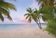 Фото обои Панно KOMAR Paradise Morning флизелиновые моющиеся XXL4-528 (368х248 см) - изображение 1