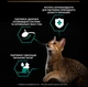 Влажный корм для кошек Purina Pro Plan Sterilised кусочки в соусе с говядиной 5 х 85 г, с курицей 5 х 85 г (Мультипак) - изображение 4