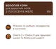 Вологий корм для котів Club 4 Paws 12 шт по 85 г (лосось у желе) - зображення 3