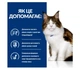Влажный корм Hill's Prescription Diet w/d для кошек при сахарном диабете и для контроля веса, с курицей, 12х85 г - изображение 3