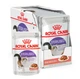 Влажный корм для стерилизованных кошек Royal Canin Sterilised в соусе 12 шт х 85 г - изображение 1
