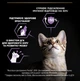 Сухой корм для котят Purina Pro Plan Kitten Healthy Start Chicken с курицей 1.5 (кг) - изображение 4