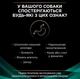 Влажный корм для собак при заболеваниях желудочно-кишечного тракта Purina Pro Plan Veterinary Diets EN - Gastrointestinal Canine 400 г - изображение 4