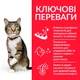 Сухой корм Hill's Adult Oral Care для взрослых кошек, уход за зубами, с курицей, 1.5 кг - изображение 3
