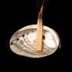 Подлинные натуральные перуанские полоски священного дерева Palo Santo 3 шт для йоги, медитации, ароматерапии 30 г - изображение 5