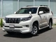 Юбка переднего бампера OEM Toyota Land Cruiser Prado 150 2018- цвет черный 202 для Toyota Land Cruiser Prado 150 рестайлинг 2018-2023 (7174) - изображение 3