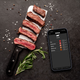 Termometr do mięsa Tesla Cook BBQ 150 Smart z sondą Bluetooth 5.2 i aplikacją mobilną (8595689805975) - obraz 9