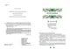 Різдвяна класика (9786171706361) - изображение 4