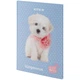 Дневник школьный твердый переплет Kite Studio Pets SP24-262-3, 67495 - изображение 3