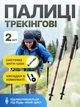 Трекінгові палиці для скандинавської ходьби 2 шт. Antishock MS 2019-1-RD Червоний - зображення 1