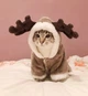 Костюм для котов (кошек) флисовый Новогодний Олень M Коричневый - изображение 6