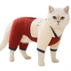 Костюм для котов (кошек) Марсель XL Красный - изображение 1