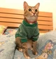 Джемпер для котов (кошек) Classic M Зеленый - изображение 3