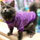 Джемпер для котов (кошек) Classic XL Фиолетовый - изображение 4